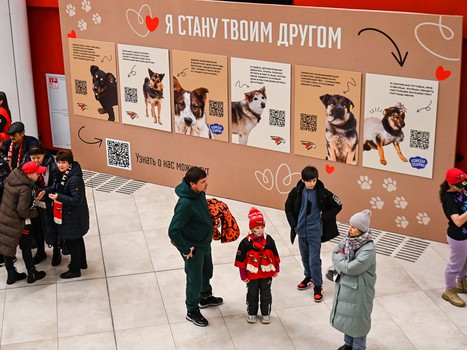 «Авангард» - «Барыс» 5:1. Вокруг матча