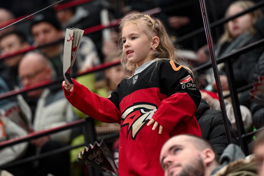 «Авангард» - «Нефтехимик» 4:3 ОТ. Вокруг матча