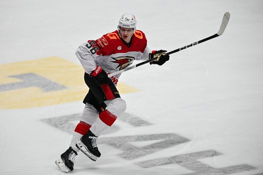 04.03.2025. ХК «Сочи» - «Авангард» 2:3 ОТ