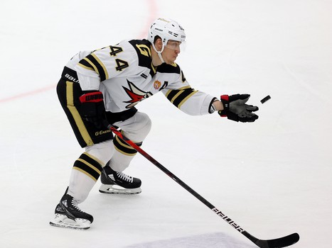 26.11.2021. «Сибирь» - «Авангард» 5:4