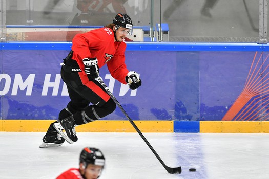 Двусторонний матч «Авангарда»