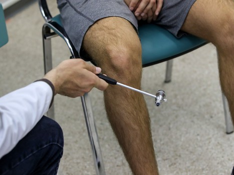 Медицинский осмотр «Авангарда» (день 1)