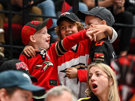 «Авангард» - «Нефтехимик» 5:1. Вокруг матча