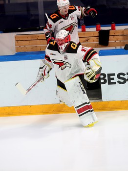 15.01.2021. «Ак Барс» - «Авангард» 3:1