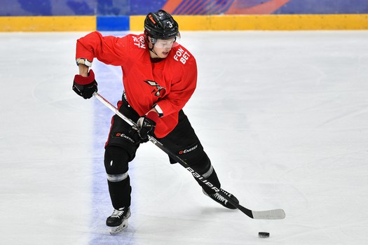 Двусторонний матч «Авангарда»