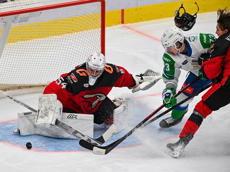 29.01.2025. «Авангард» - «Салават Юлаев» 2:4