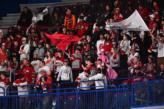 28.03.2025. «Металлург» - «Авангард» 2:3 ОТ