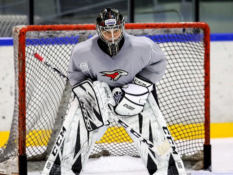 Новички «Авангарда». Александр Судницин