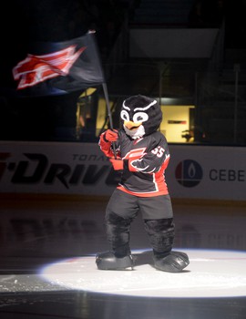 14.01.2015 "Авангард" - "Металлург" Мг 1:3