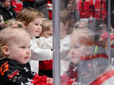 «Авангард» - «Торпедо» 4:3. Вокруг матча
