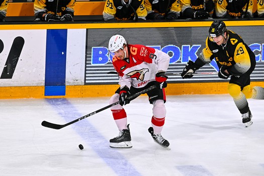 26.11.2022. «Северсталь» - «Авангард» 1:2