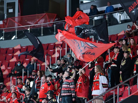 «Авангард» - «Торпедо» 3:2 ОТ. Вокруг матча