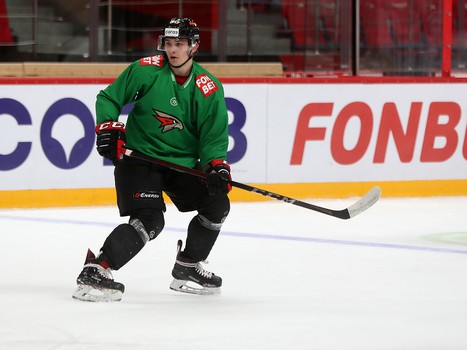 Раскатка «Авангарда» перед матчем с «Витязем»