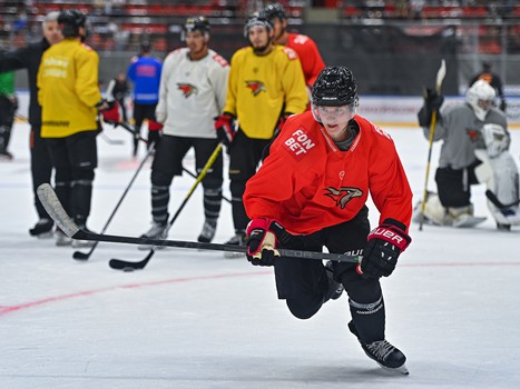 Открытая тренировка «Авангарда»