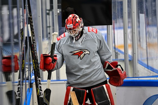 Раскатка «Авангарда» перед третьим матчем серии с «Сибирью» в Новосибирске