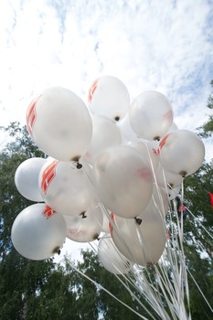 Пикник "Авангарда". Часть вторая