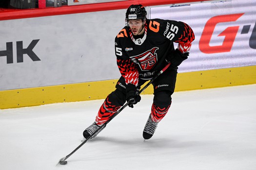 10.11.2025. «Авангард» - СКА 0:1