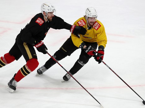 Открытая тренировка «Авангарда» перед плей-офф