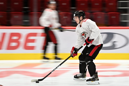 Раскатка «Авангарда» перед матчем с «Трактором»