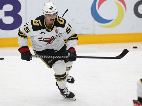 26.11.2021. «Сибирь» - «Авангард» 5:4