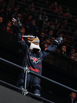 «Авангард» - «Динамо» Мн 5:4 Б. Вокруг матча