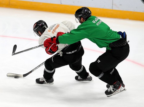 Снова на льду. «Авангард» вернулся к работе