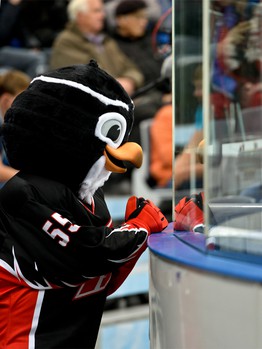 12.10.2013 "Авангард" - "Торпедо" 5:1