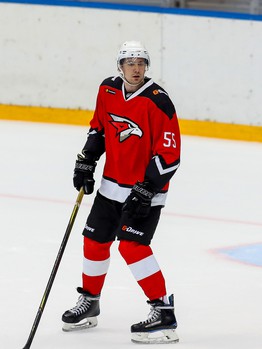 Сборная «Авангард» - Сборная «Газпром нефть» 10:4