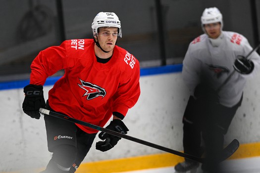 Тренировка «Авангарда» в Хоккейной Академии