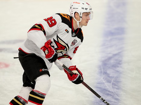 17.01.2021. «Автомобилист» - «Авангард» 4:1