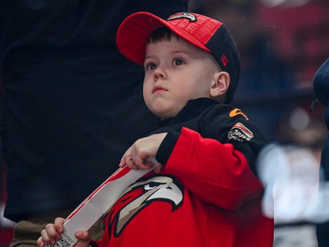 «Авангард» - «Торпедо» 4:3. Вокруг матча