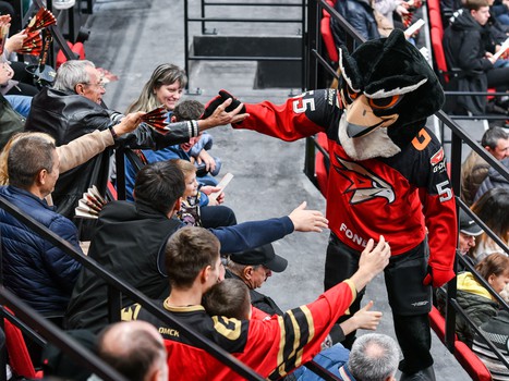 «Авангард» - «Адмирал» 3:4 Б. Вокруг матча