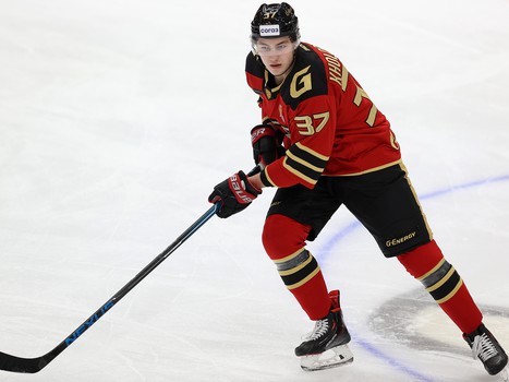 15.11.2021. «Авангард» - «Витязь» 3:0