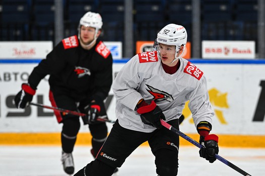 Раскатка «Авангарда» перед матчем в Минске