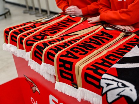 «Авангард» - «Нефтехимик» 4:3 Б. Вокруг матча