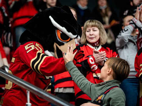 «Авангард» - «Металлург» Мг 4:2. Вокруг матча