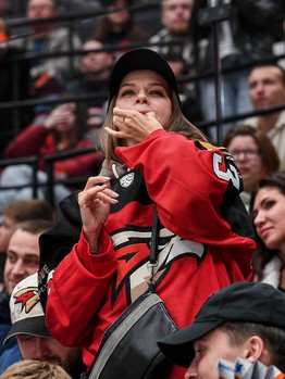 «Авангард» - «Амур» 2:1. Вокруг матча