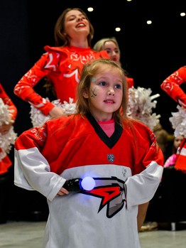 «Авангард» - «Металлург» 3:0. Вокруг матча