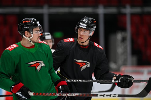 Раскатка «Авангарда» перед матчем с «Нефтехимиком»