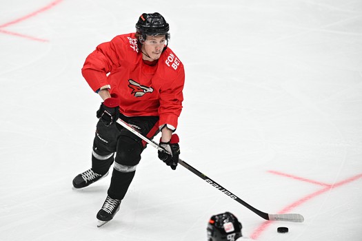 Двусторонка «Авангарда»