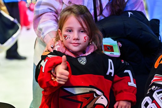 «Авангард» - «Спартак» 7:5. Вокруг матча