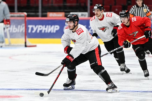 Двусторонка «Авангарда»