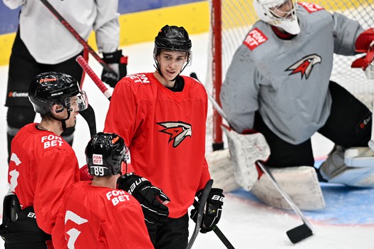 Двусторонка «Авангарда»