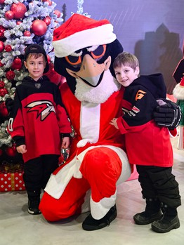 «Авангард» - «Нефтехимик» 4:3 ОТ. Вокруг матча