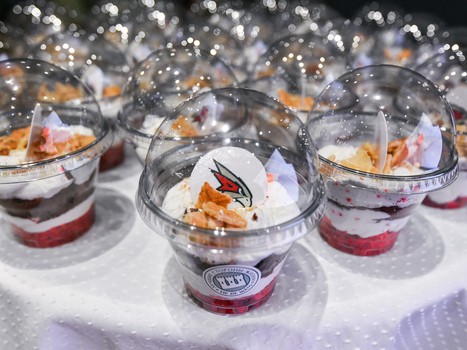 «Авангард» - «Сибирь» 4:3 ОТ. Вокруг матча