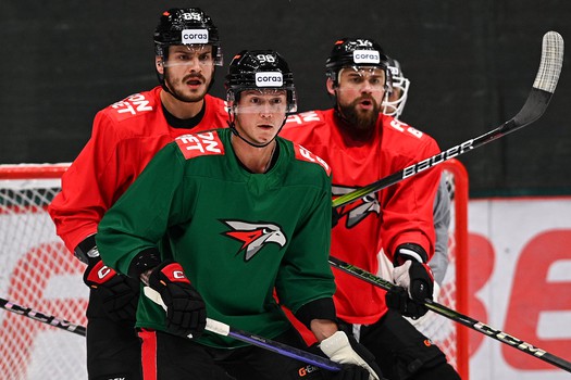 Раскатка «Авангарда» перед матчем с «Автомобилистом»