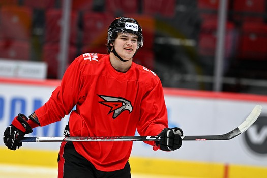 Раскатка «Авангарда» перед матчем с «Витязем»