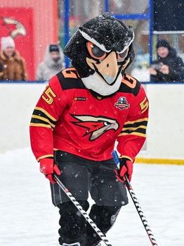 Уроки хоккея проходят в 10 школах Омска