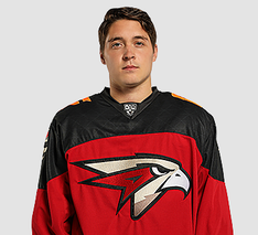 Mikhailov Nikita