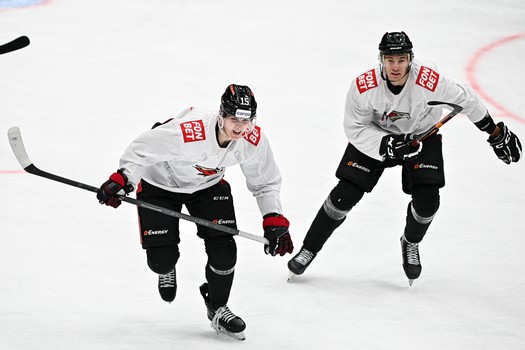 Двусторонка «Авангарда»